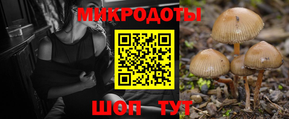 Галлюциногенные грибы MAGIC MUSHROOMS  Вход с VPN  Сатка 