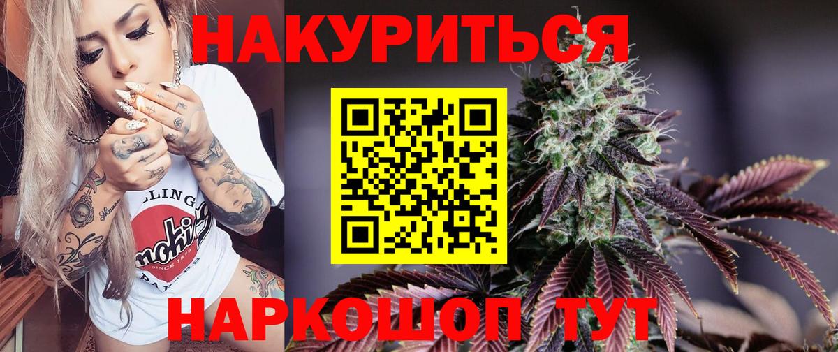 Конопля гибрид Сатка